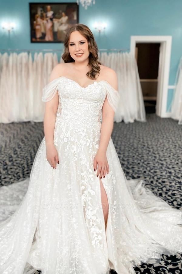 Elegant Sleeveless A-Line Off the Shoulder Chapel Lace Wedding Dress with Appliques