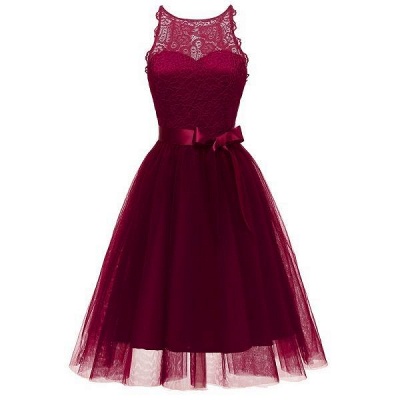 Chicloth Sleeveless Stylish Fashion Bowknot Lace Dress_5