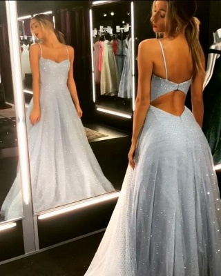 B| Chicloth Backless Dress Tulle Floor Length Prom Dresses_3