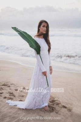 Chicloth Ivory Long Sleeve Rustic Backless Sheath Beach Wedding Dress_4
