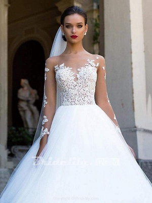 Chicloth Long Sleeves Lace Ball Gown Tulle Wedding Dresses_3