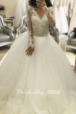 Chicloth Ball Gown Sleeves V Neck Tulle Princess Long Wedding Dress_2