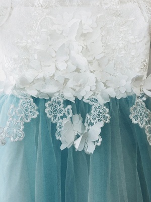 Ball Gown Sweep / Brush Train Wedding / Birthday / Pageant Flower Girl Dresses - Tulle / Cotton Short Sleeve Jewel Neck With Lace / Embroidery / Appliques_8