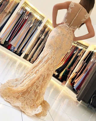 ZY460 Elegant Evening Dresses With Lace Prom Dresses Long Cheap_2