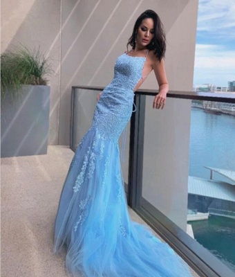 ZY600 Light Blue Evening Dresses Long Cheap Prom Dresses With Lace_2
