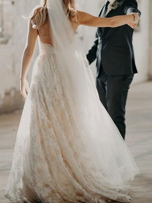 Wedding Dress Court Train A-Line Spaghetti Straps Sleeveless Lace V-Neck Backless Ivory Wedding Gowns_3