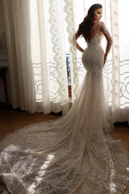 Unique Appliques Lace Mermaid Column V-neck Transparent Long Sleeve Floor-length Wedding Dresses_4
