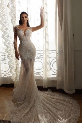 Unique Appliques Lace Mermaid Column V-neck Transparent Long Sleeve Floor-length Wedding Dresses_2