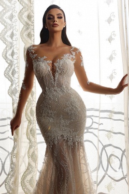 Unique Appliques Lace Mermaid Column V-neck Transparent Long Sleeve Floor-length Wedding Dresses_3