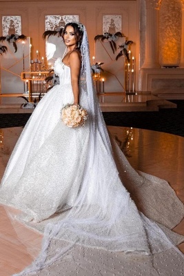 Elegant Sequins Chapel Sweetheart Sleeveless Ball Gown Wedding Dress with Appliques_3