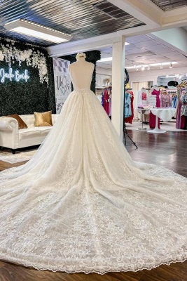 Elegant Floor-Length A-Line Spaghetti Strap Chapel Sleeveless Wedding Dresses with Appliques_2