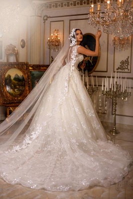 Exquisite Sleeveless Floor Length Deep A-Line V-Neck Lace Ball Gown Wedding Dress with Appliques_4
