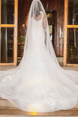 Elegant Sweetheart Straps Chapel Train A-Line Tulle Wedding Dress_3