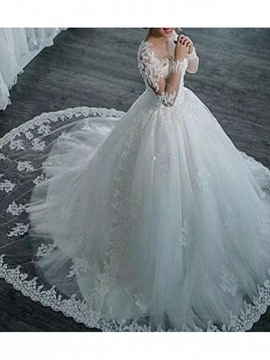 A-Line Wedding Dresses V Neck Sweep \ Brush Train Tulle Long Sleeve Formal Plus Size Illusion Sleeve_1