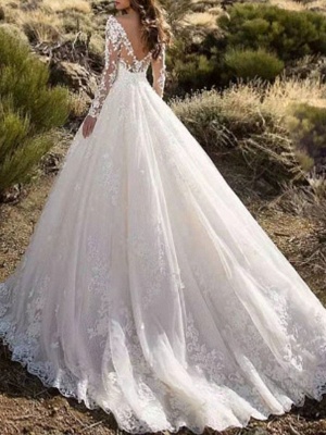 A-Line Wedding Dresses V Neck Sweep \ Brush Train Lace Long Sleeve Formal Sparkle & Shine Illusion Sleeve_3