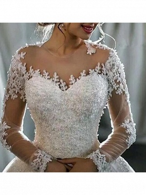 A-Line Wedding Dresses V Neck Sweep \ Brush Train Tulle Long Sleeve Formal Plus Size Illusion Sleeve_3